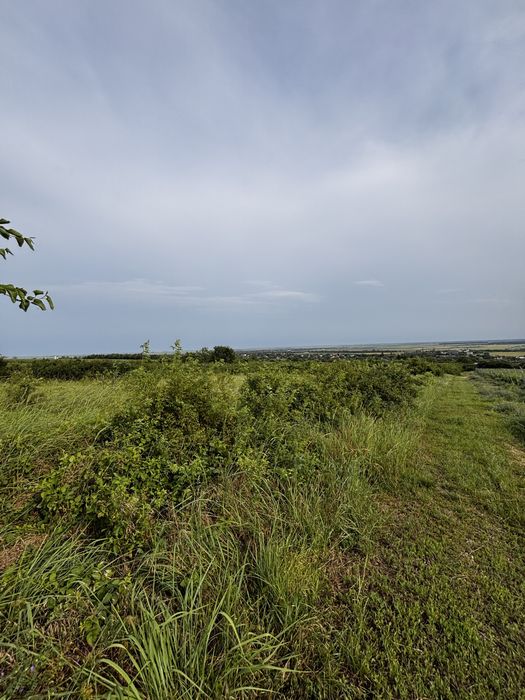 Titlu: Teren intravilan 1.700 mp + extravilan 17.800 mp – Valea Călugărească