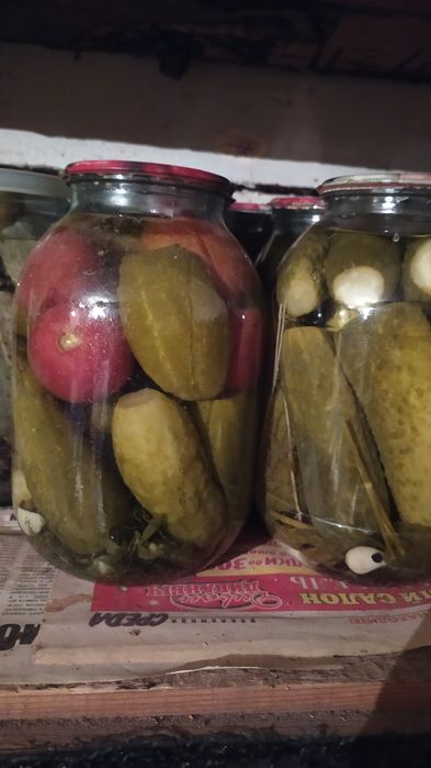 Соленье домашнее ( огурцы, помидоры)
