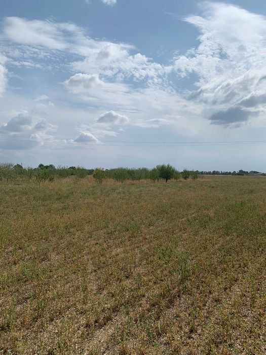 Продава се Земеделски имот в Хисаря -  кв.м за 1020 €/дка - Снимка #2