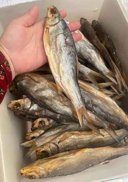 Вяленный и копчёный рыбец, чехонь  в наличии