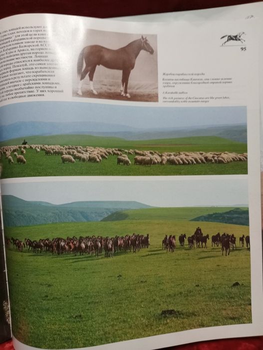 Книга Ветер в гриву HORSES. 1976г.