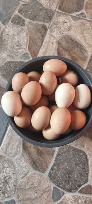 Ouă  de  găină  1,5 lei