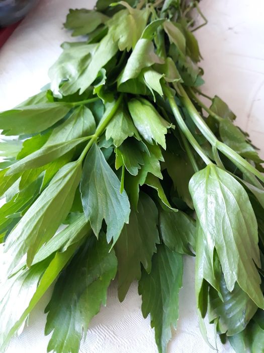 Морски деликатеси Мида, Рапан пресни