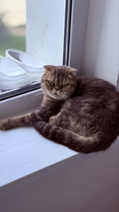 ………………………………………………….