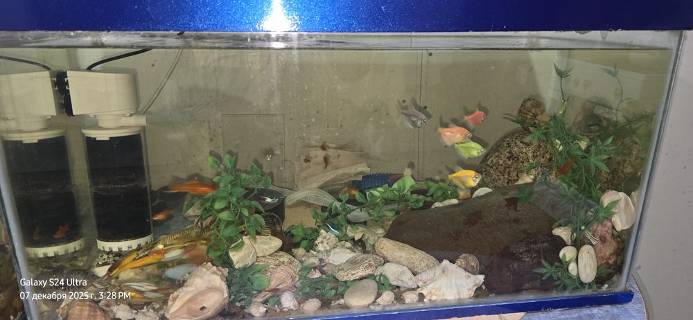 Продам 2 аквариума торг