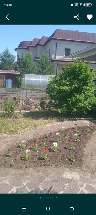 Услуги Сад и огород