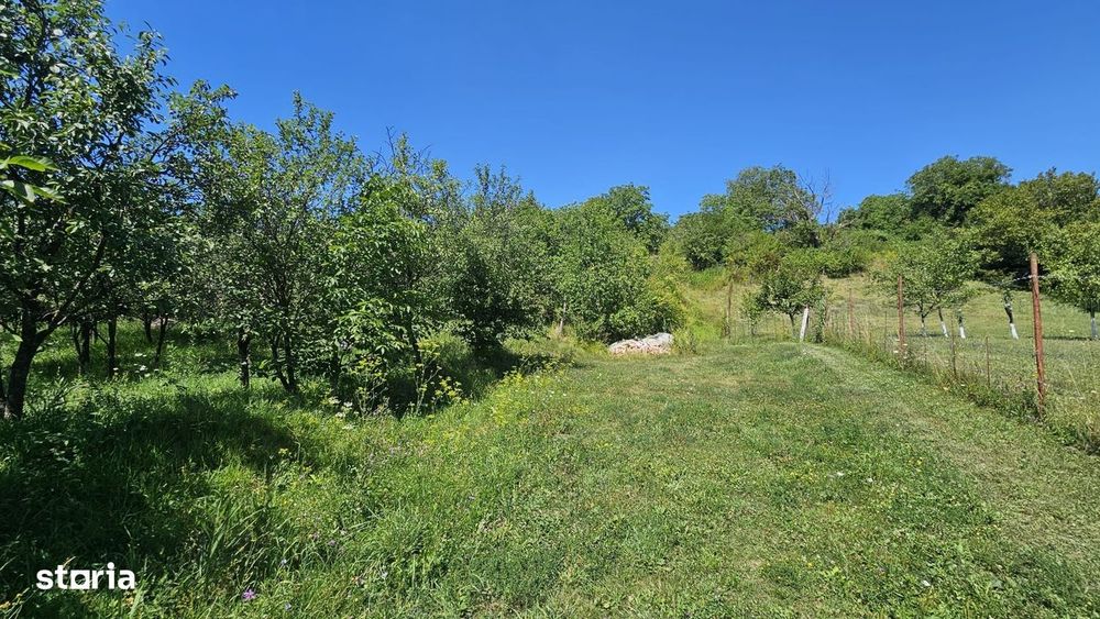 0 % comision, Lot format din 3 parcele, zona Antonio Gaudi-Borhanci
