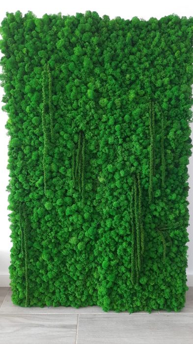 Decor licheni 30x200cm, 60x100cm