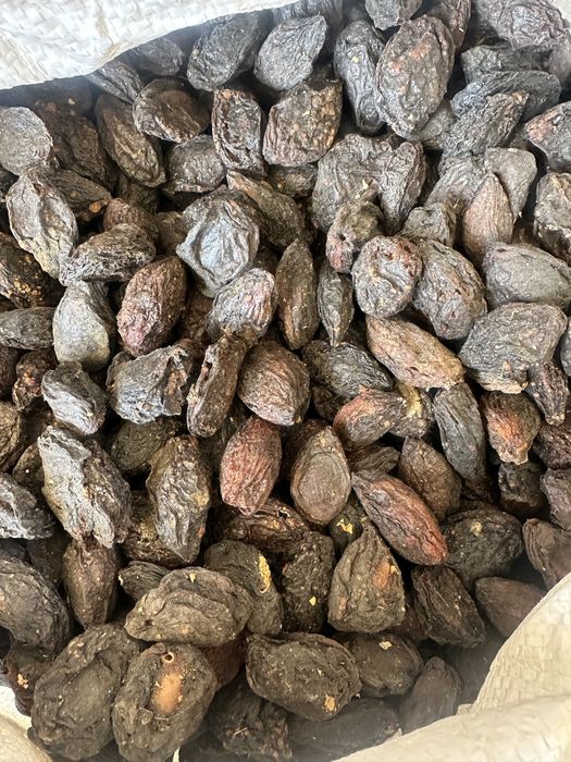 Кампотлик туршак сотилади