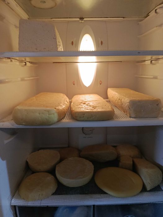 Продавам домашен,кози,краве кашкавал,сирене.