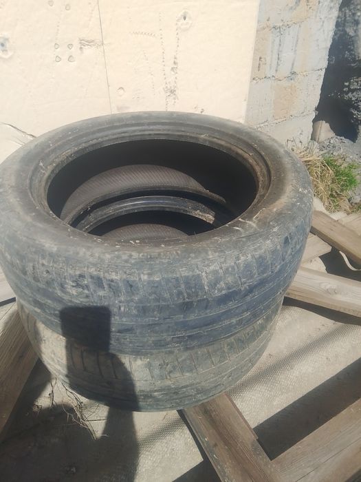 Еки ризина летный