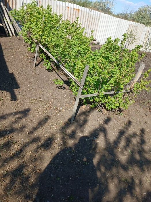 Домик на данном массиве