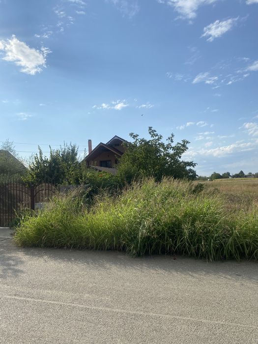 Teren curti constructii intravilan Letea Bacau