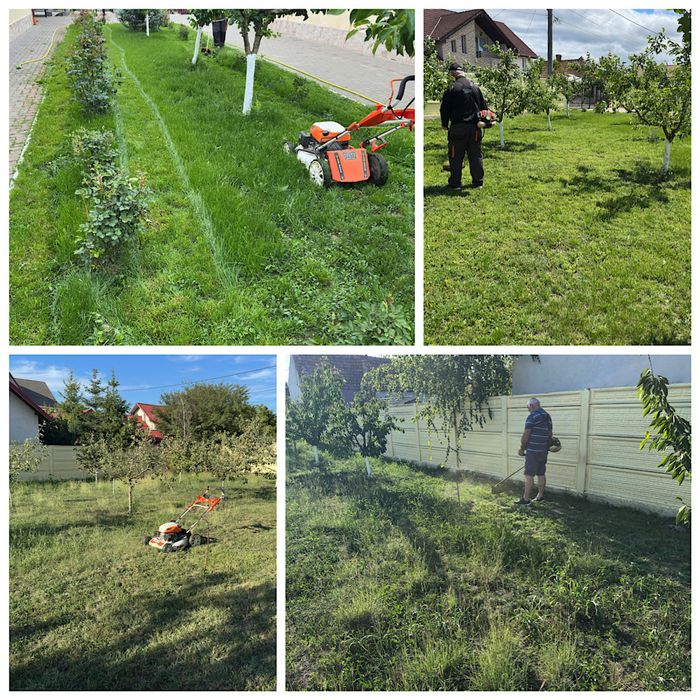 Tuns gazon și scarificări – Întreținere grădini (Persoană fizică)