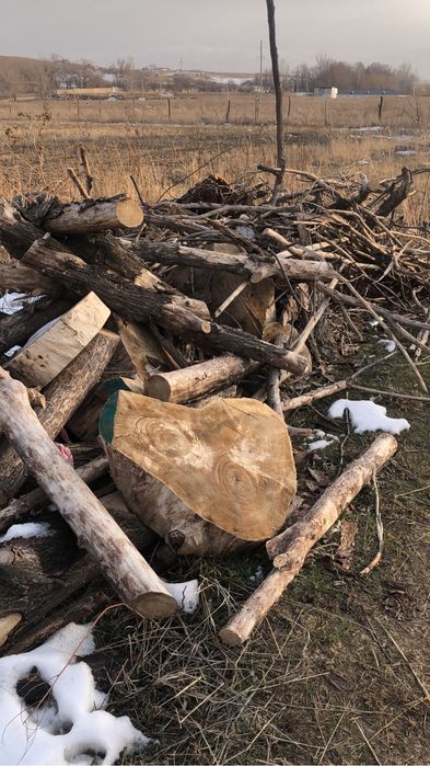 Дрова для шашлыка и бани