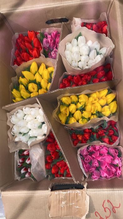 Тюльпаны премиум качества