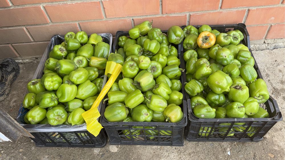 Свежий Перец вкусные