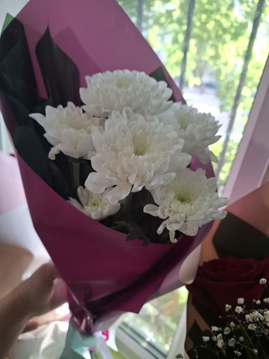 Гулдер свежий б/у