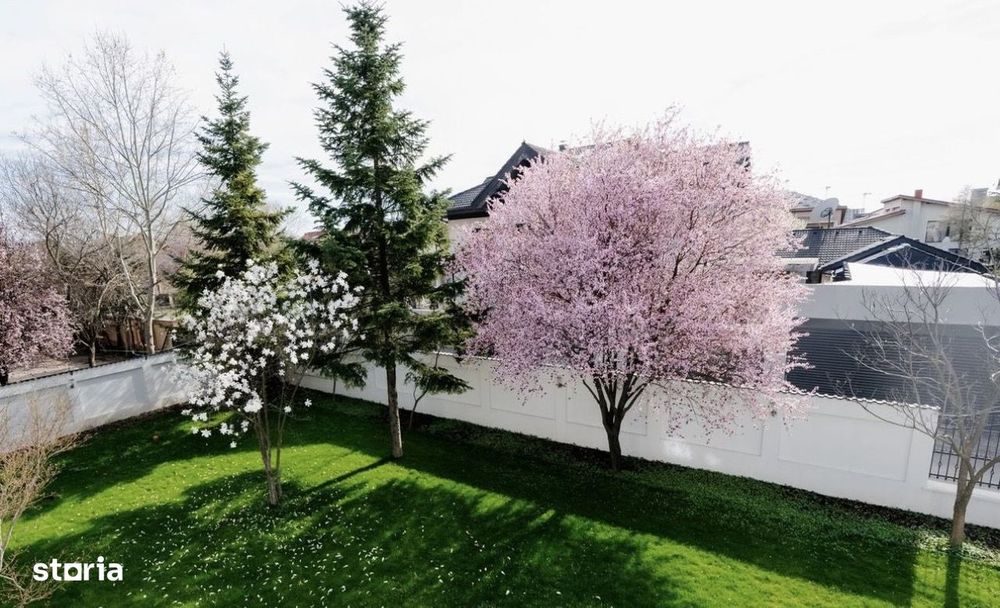 Inchiriere Casa Individuala , Teren 1000 Mp Pipera