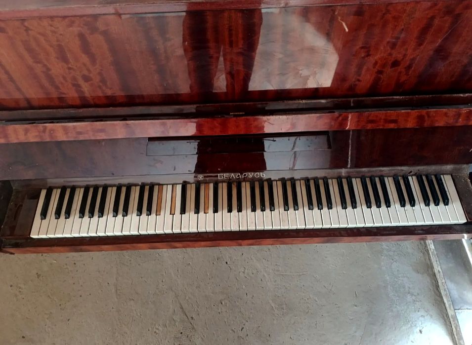 Piyanina cccr belarus