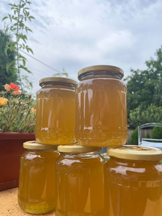 Miere de albine de tei