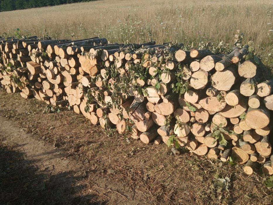 Lemne de foc esență