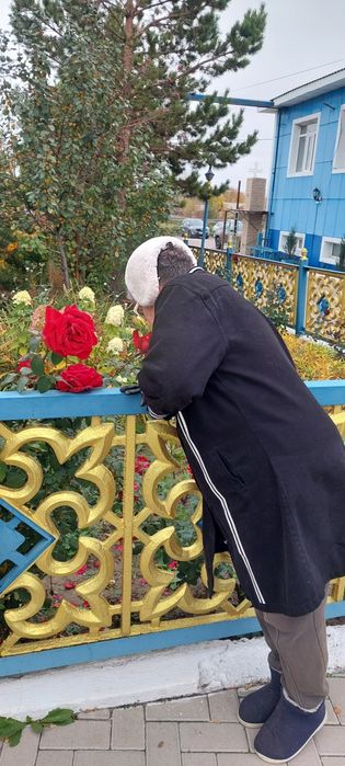Цветы пионов. Находимся в городе.