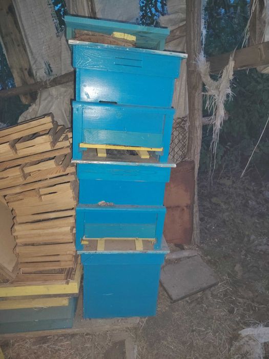 Кошери с по два магазина