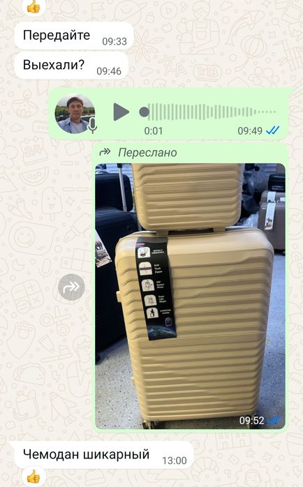 Дорожные Чемоданы Сумки.  Доставка. Алматы