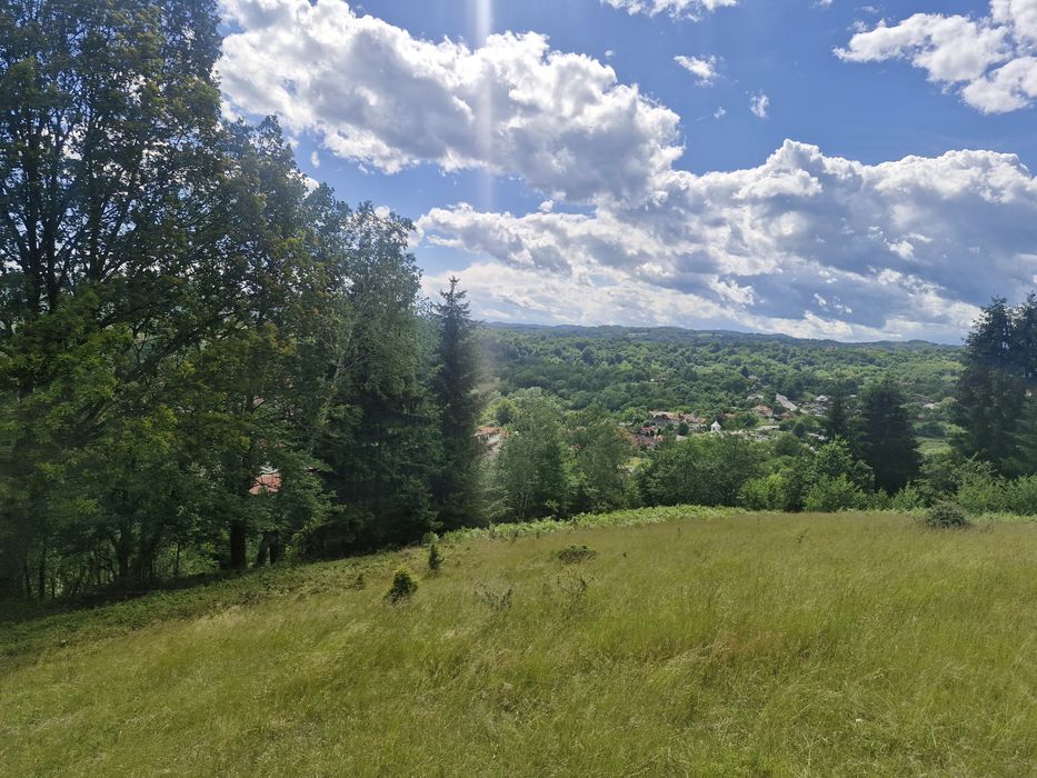 Teren intravilan