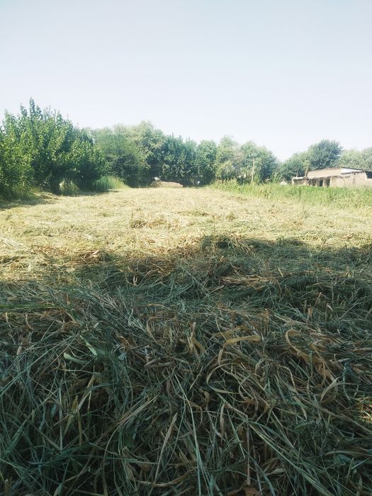 10sutix yer sotiladi