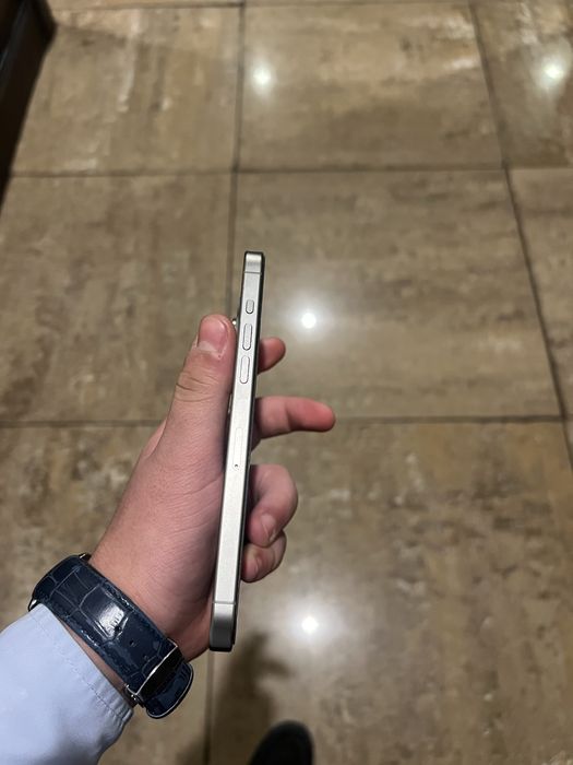 Model Ipone 15 pro max