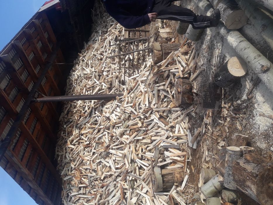 54-тыс. Дрова Береза-Осина-пихта