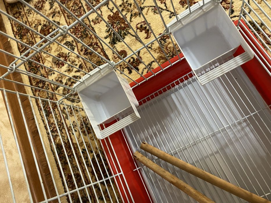 Клетка для средних и крупных птиц