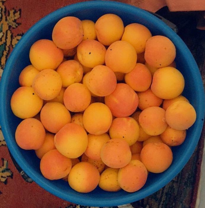 Өрік. Вишня. Смародина