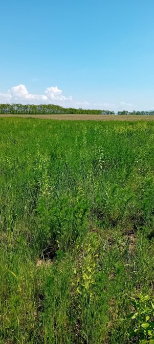 Se vinde teren cu balastieră autorizată!