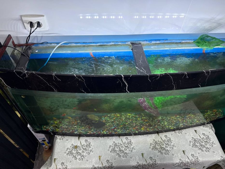 Akvarium sotiladi