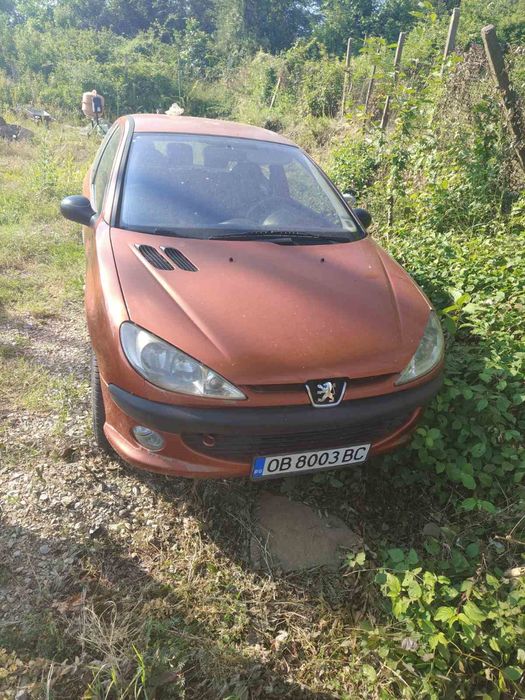 Лек автомобил Пежо 206