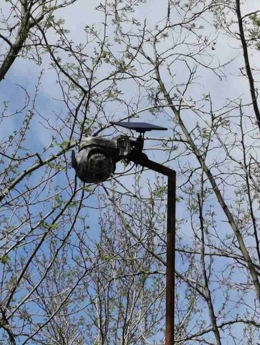 Ловна камера 4G със соларен панел