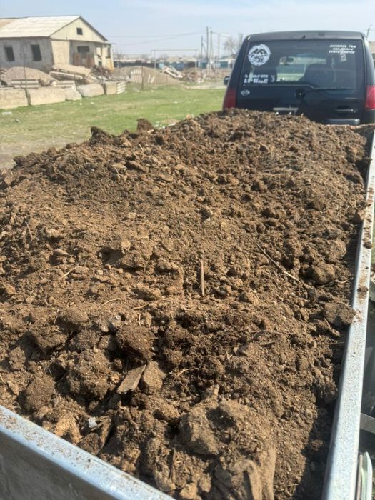 Доставка навоза перегной