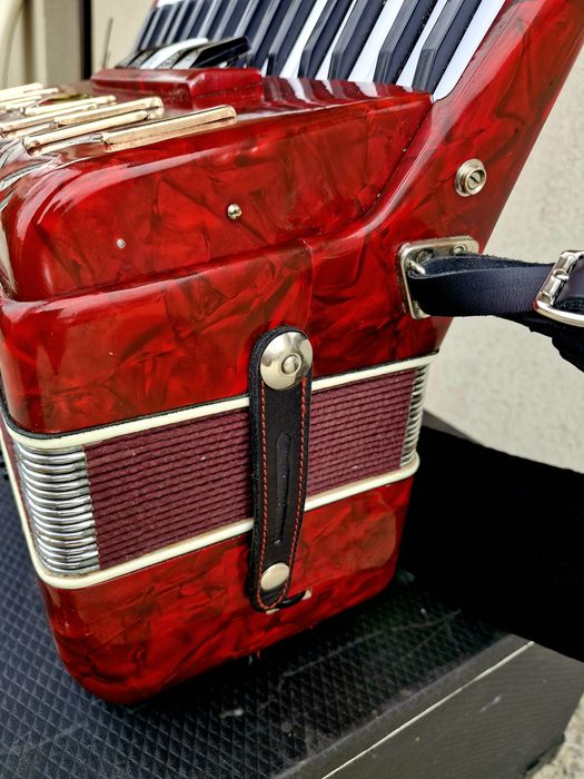 Acordeo Parrot cu 72 basi