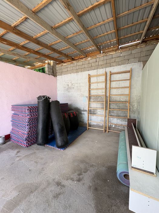 Даянка мен груша