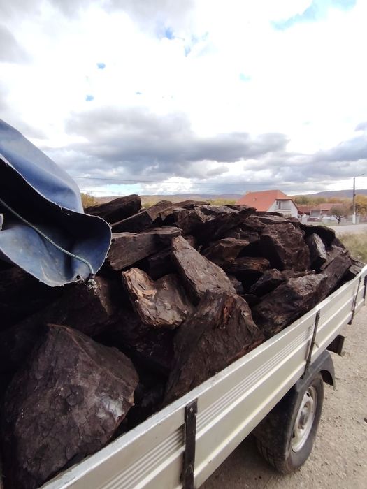 Vând cărbuni sortați