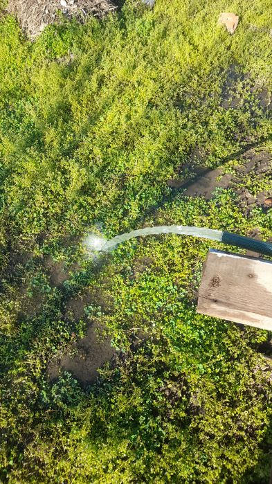 Сув чикариш хизмати арзон нархда