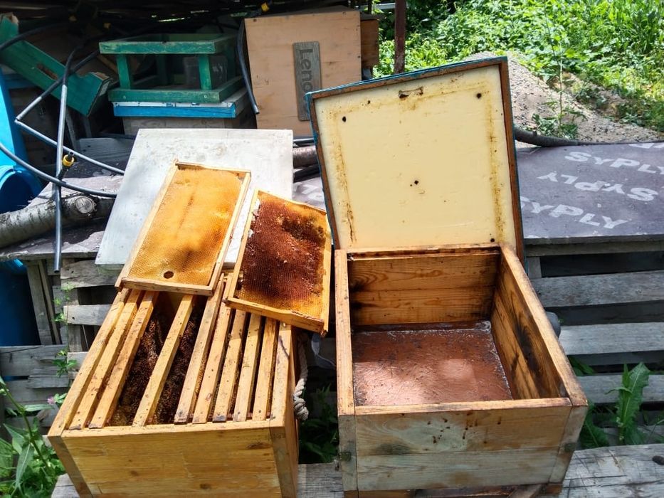 Корпуса для ульев Рута