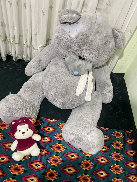 Teddy ayiq mishka katta yangi