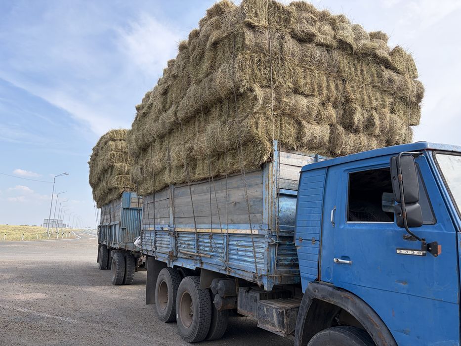 Продам Сено тюк сено рулон