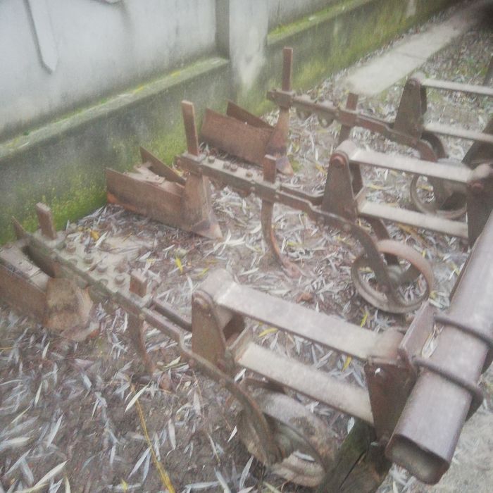 Vând prasitoare cu trei secții românească stare buna