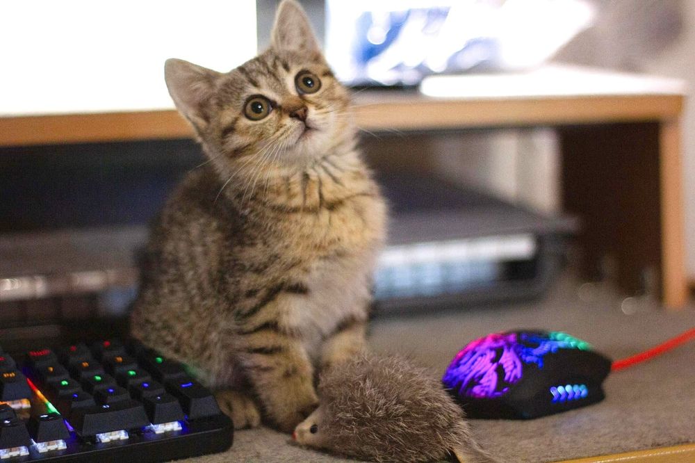 Малышка Феодосия ,ей 3,5 месяца