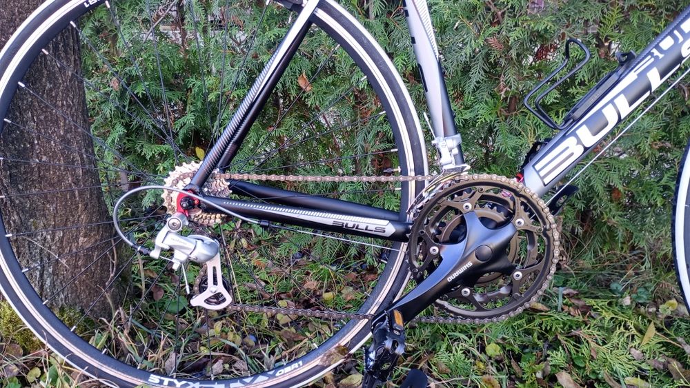 Cursiera Bulls Vulture 1